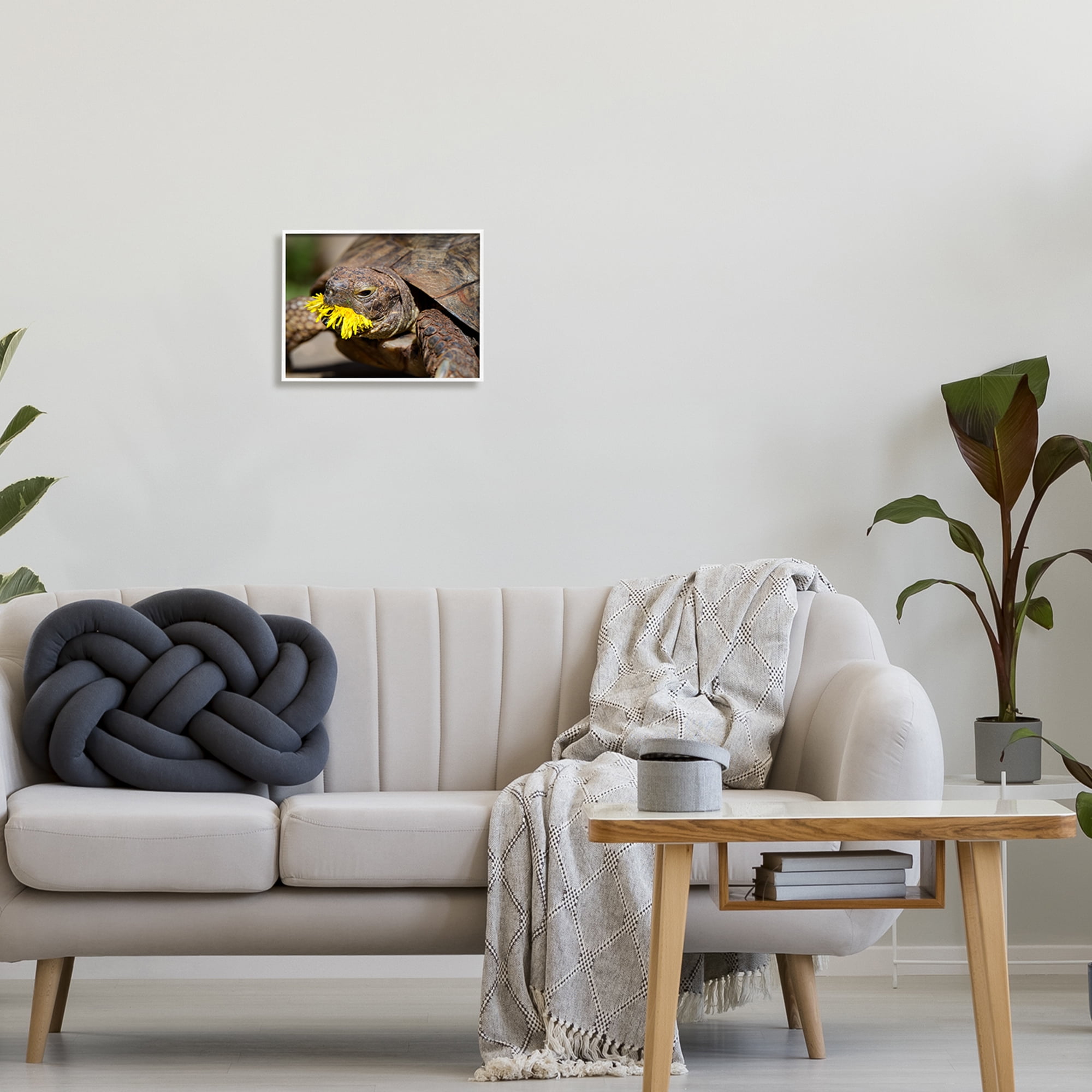 Stupell Industries Turtle Eating Dandelion Animals & Insects Photography White Framed Art Print Wall Art, 14 x 11