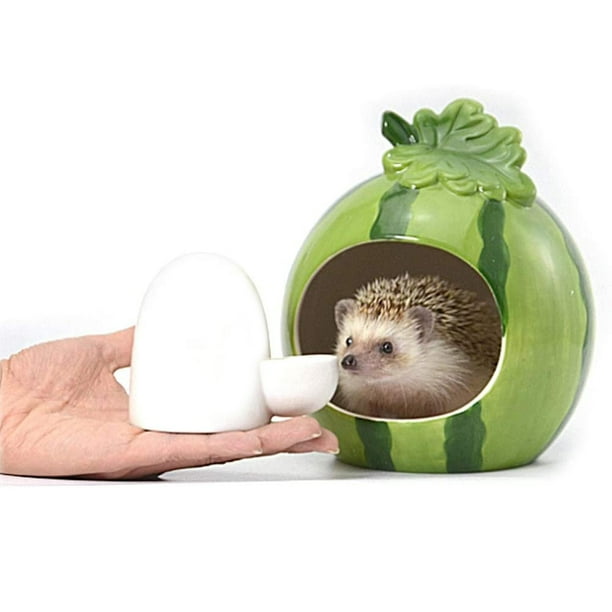 Automatic hedgehog feeder 2025