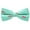 Trout - Light Green - Printed Silk, variant on SummerTies Solid Color Kids Bow Tie - Light Blue, Woven Silk, Pre-Tied Kids Bow Tie