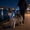 Blue, variant on Light Up Walking Belt, USB Charging Adjustable Illuminated Strap for Nighttime Pet Trips, Glowing Dog Leash