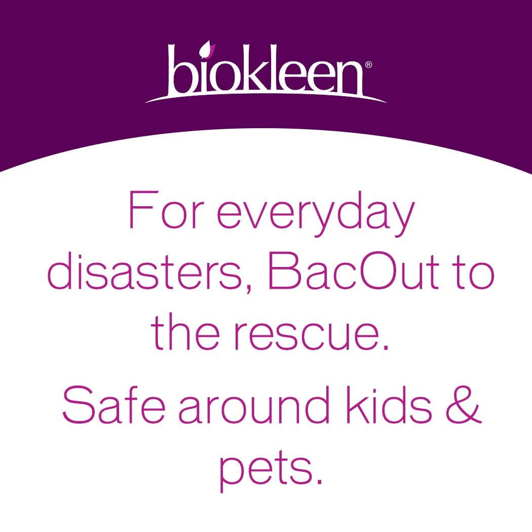 12-pack Biokleen Bac-Out Stain+Odor Remover - Enzymatic Pet Odor Remover - 12 Pack, 32 fl oz — Residential Use, Standard Application