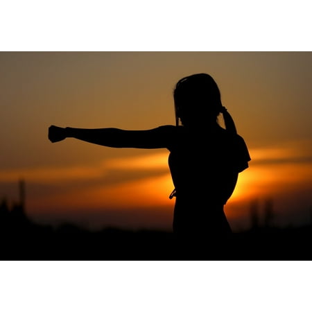 LAMINATED POSTER Silhouette Sunset Karate Sports Fight Resistance Poster Print 24 x