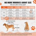 thumbnail image 4 of STAWAY Lightweight Adjustable Dog Wheelchair for Back Legs - Durable Aluminum Pet Cart for Disabled Dogs, Hind Limb Support, Easy Assembly, Smooth Ride, 4 of 9