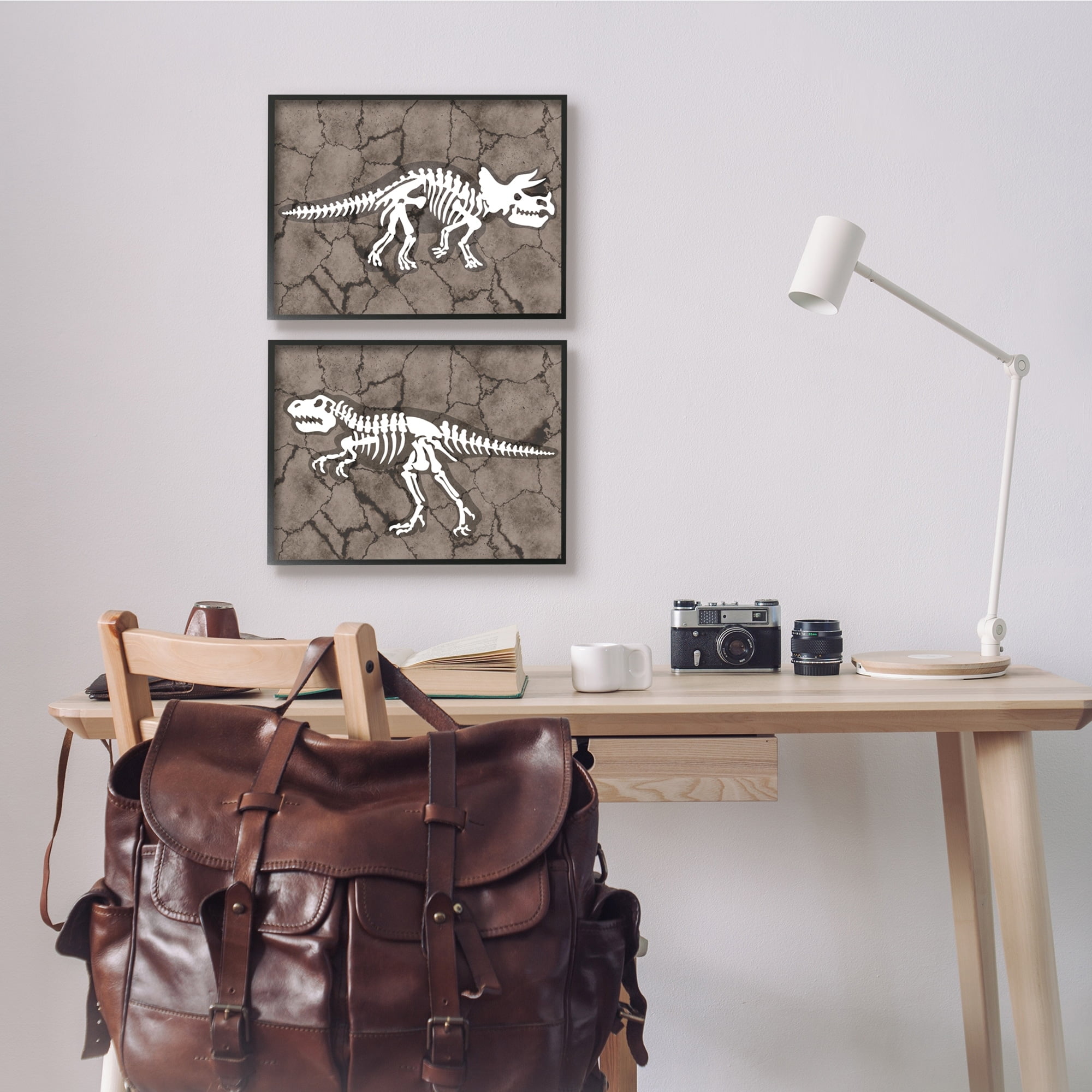 Dinosaur Skeleton Artifacts Cracked Earth Pattern 20 in x 16 in Framed Painting Art Prints, by Stupell Home Décor