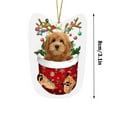thumbnail image 2 of Christmas Dogs Ornament Christmas Acrylic Funny Dog Christmas Stocking Animal Ornament RED Schnoodle In Snow Pocket Christmas Ornament Christmas Decoration, 2 of 5