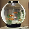 biOrb Classic 30 with LED Lights Aquarium - Black