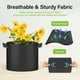 thumbnail image 5 of Bolsas de cultivo de plantas HealSmart de 5 galones, paquete de 5, para vegetales negros, 5 of 7