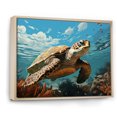 thumbnail image 2 of Designart "Classic Art Showing A Turtle'S Coastal Life In Monochrome" Animals Turtle Floater Framed Canvas Art Print, 2 of 5