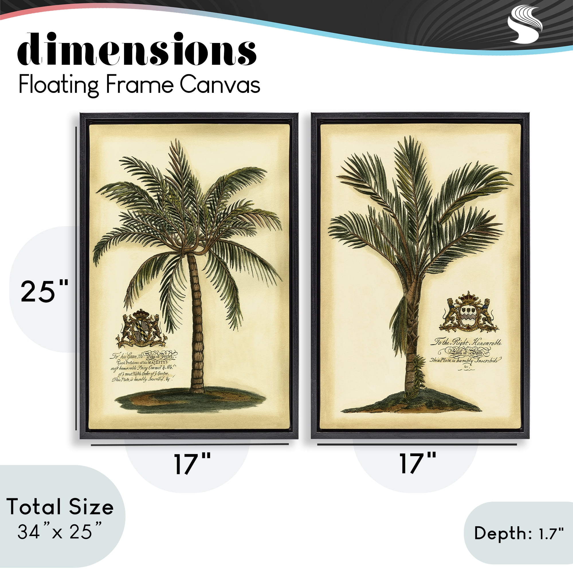 Stupell Industries Vintage Historical Palms 2 Piece Black Framed Floater Canvas Set, design by Vision Studio