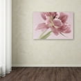 thumbnail image 3 of Trademark Fine Art 'Soft Pink Tulip' Canvas Art by Cora Niele, 3 of 3