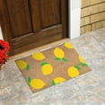 thumbnail image 5 of Qocolhg Summer Holiday Floor Door mat, Welcome Doormat with Non-Slip Backing for Indoor and Outdoor, 16 x 24inch Front Door Welcome Mat Floral Doormat for Home Entrance, Outside Entry, Yard, Floor, 5 of 8