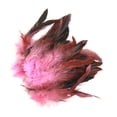 thumbnail image 3 of Paquete de 100 Gorro de Plumas de Gallo Gloria Decoración para hogar Anillos para Los oídos Manualidades plumas de gallo, 3 of 9
