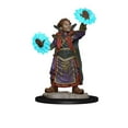thumbnail image 2 of WizKids Wardlings RPG Figures: Boy Wizard & Imp, 2 of 4
