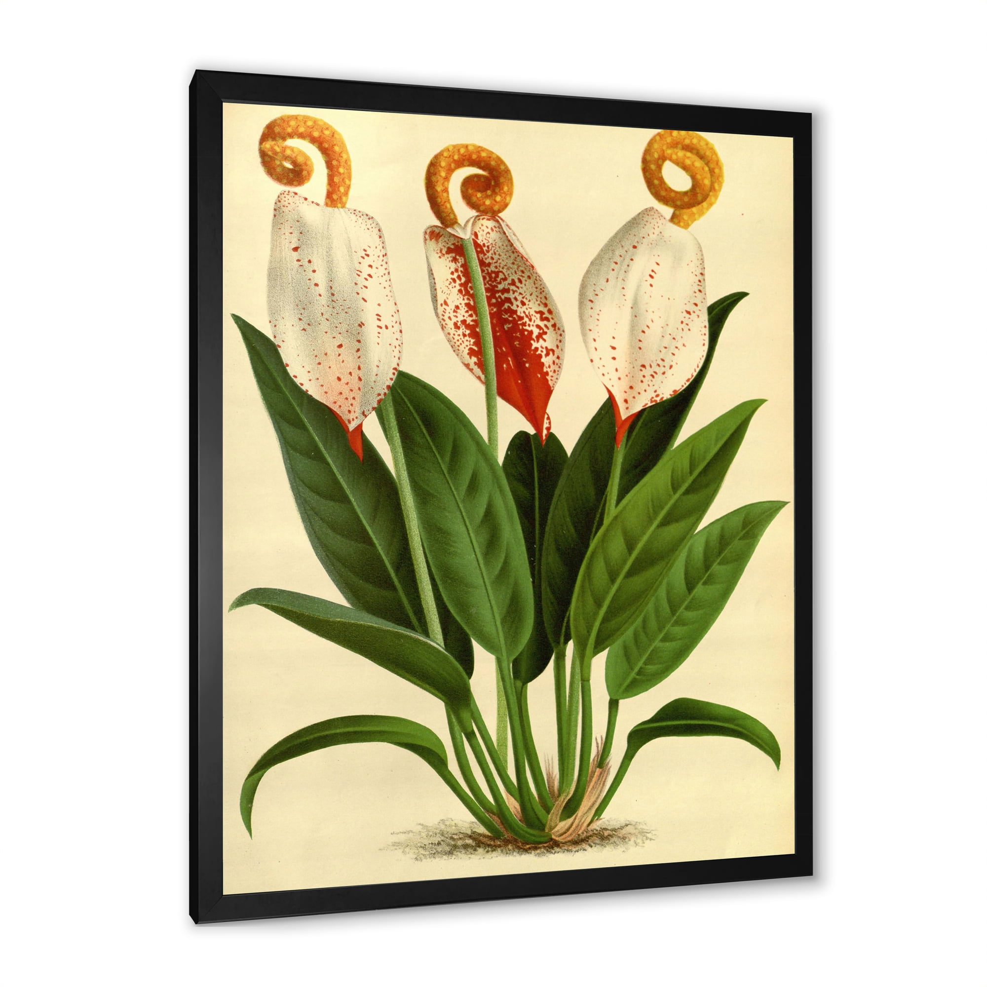 Designart 'Retro Wildflowers' Farmhouse Framed Art Print