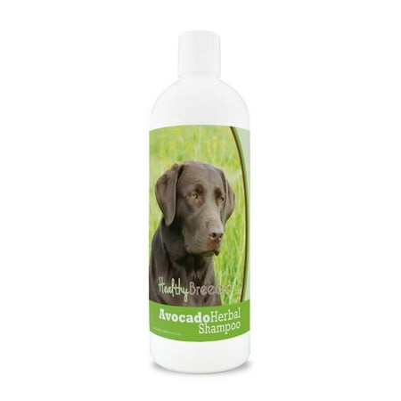 Healthy Breeds 840235157205 Labrador Retriever Avocado Herbal Dog Shampoo