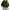 Green, variant on Women Short Sleeve Cropped T-Shirts Drop Shoulder Round Neck Crop Tops Casual Summer Solid Color Basic Pullover Tees