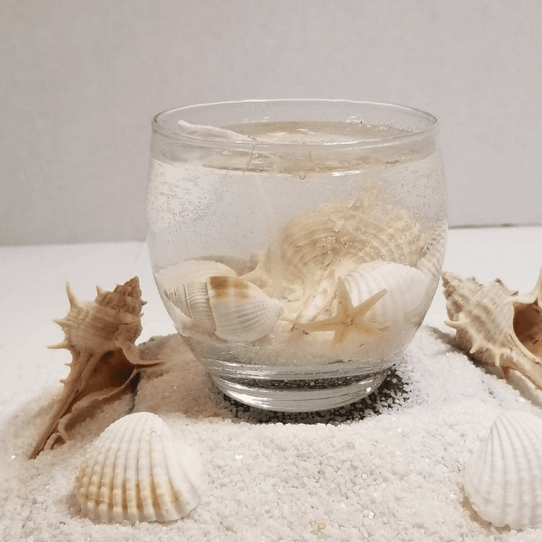 Scented Gel Wax Candle Shelly Beach 7.7 ounce  Handmade & Eco-Friendly  White Decorative Glass Relaxing Calming & Stress Reliever Candles for Home  Bath Spa Scented Decor Wedding Party Favors & Gifts 