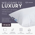 thumbnail image 2 of Almohada Lincove Cloud Natural Canadian Down 625 Fill Power, 2 of 6