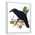 thumbnail image 3 of Designart 'Ancient Australian Birds VI' Traditional Framed Canvas Wall Art Print, 3 of 5