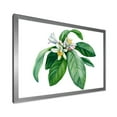 thumbnail image 2 of Flowering Mandarin With Branch 32 in x 16 in Framed Painting Canvas Art Print, by Designart, 2 of 4