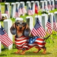 thumbnail image 3 of sruoe Garden Statues for Outside, Decoration Ground Insert, Independence Day Dachshund Ground Plug, Flat Acrylic Patio Decor, Bohemian Garden Statue, Outdoor Lawn Ornament for Home and Yard, 3 of 7