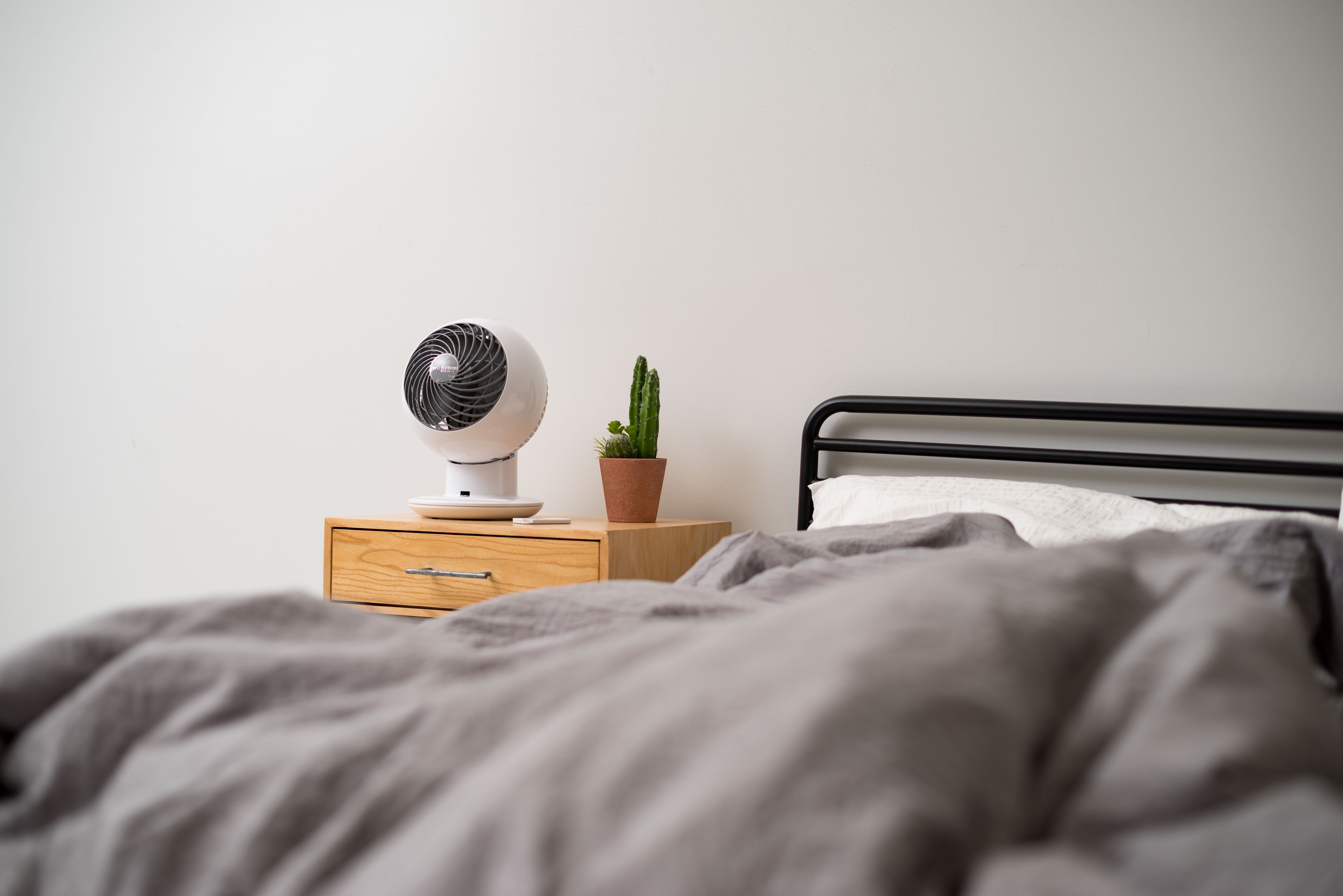 IRIS WOOZOO Fan with Remote, Oscillating Fan, Desk Fan, 5 Speeds, 90° Adjustable Tilt, White