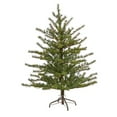 thumbnail image 2 of Nearly Natural Prelit 4' Pine Artificial Christmas Tree, Green, 2 of 7