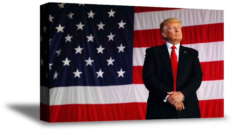 DONALD TRUMP President American Flag 8 x 10 Photo Print Poster USA 
