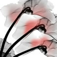 thumbnail image 2 of Koetsier, Albert 15x15 Black Ornate Wood Framed with Double Matting Museum Art Print Titled - Coral Luster Cyclamen, 2 of 4