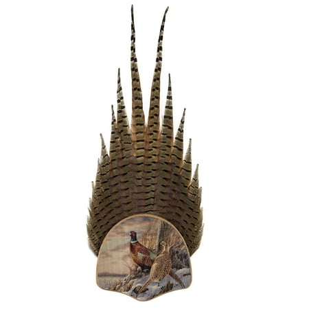 - Walnut Hollow Country Pheasant Tail Display Kit with Color Image