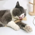 thumbnail image 5 of 5 piezas de palitos molares naturales para gatos, juguete masticable para gatos, juguete comestible para la limpieza de dientes de gatitos., 5 of 5