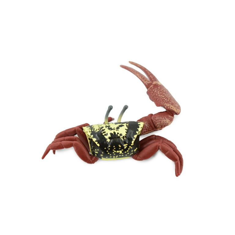 Crab, Fiddler Crab, Rubber Crustacean, Museum Quality, Hand Painted,  Realistic Toy Figure, Model, Replica, Kids, Educational, Gift, 4 CH444  BB114 