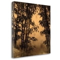 thumbnail image 2 of Tangletown Fine Art Shadow Play I By Madeleine Endo,  Gallery Wrap Canvas, 2 of 2