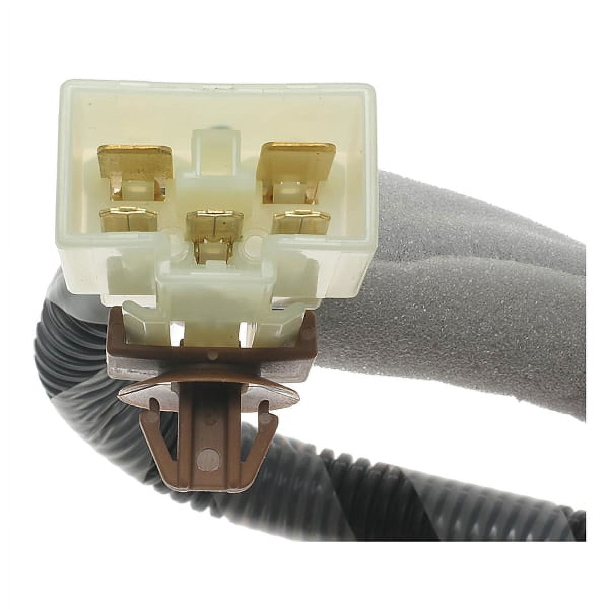 Ignition Switch