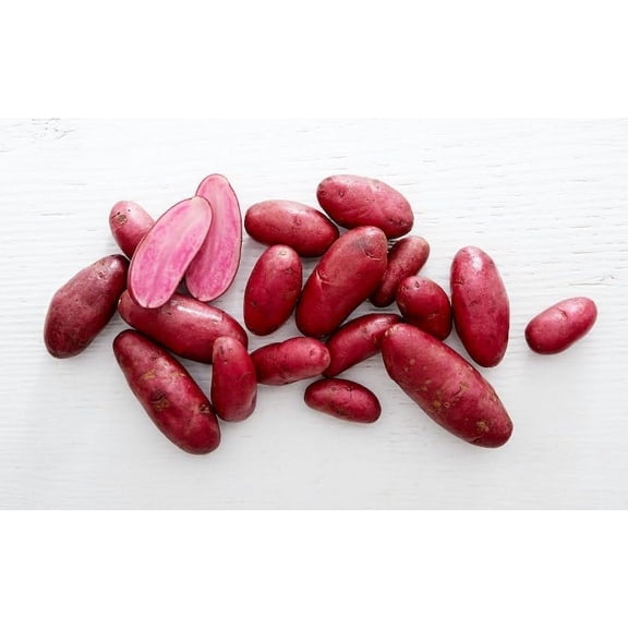 Amarosa Red Fingerling Seed Potatos for Planting (2 Pounds)