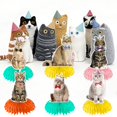 thumbnail image 3 of 9Pcs Honeycomb Cat Centerpiece Decorations for Themed Birthday Celebration Party Events 9PCS, 3 of 5
