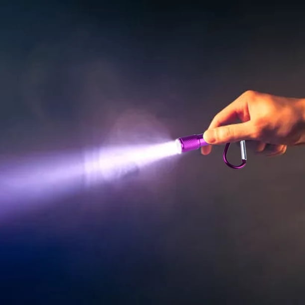 Portable Mini Waterproof LED Flashlight Carabiner Daily Small