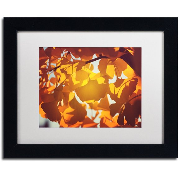 Trademark Fine Art "Ginkgo Leaves" Canvas Art by Philippe Sainte-Laudy White Matte, Black Frame