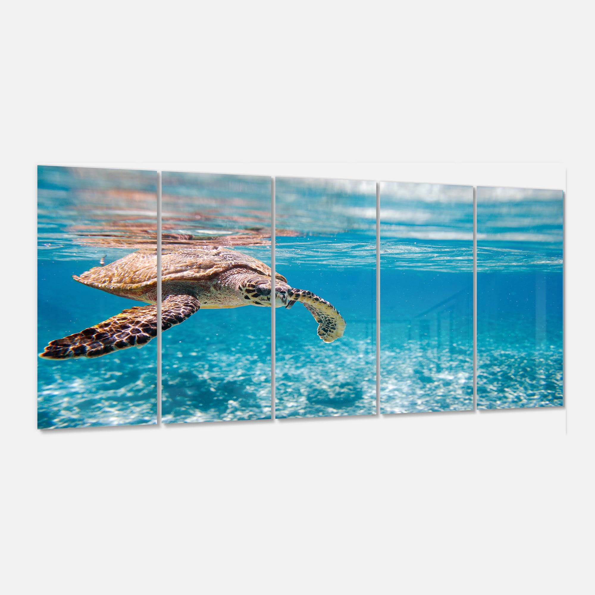 Designart 'Large Hawksbill Sea Turtle' Metal Wall Art