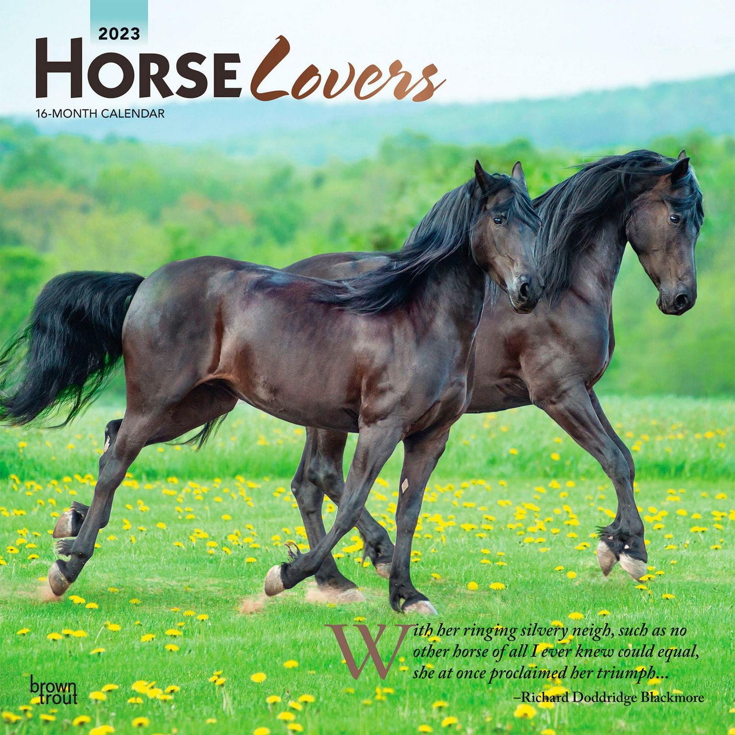 Horse Lovers | 2023 12x24 Inch Square Wall Calendar