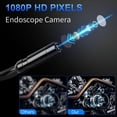 View all media