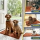 thumbnail image 5 of Muddy Mat® AS-SEEN-ON-TV Tapete para puerta y alfombra para mascotas de microfibra altamente absorbente, área lavable gruesa antideslizante y tapete de baño de chenilla suave para cocina, baño, dormit, 5 of 5