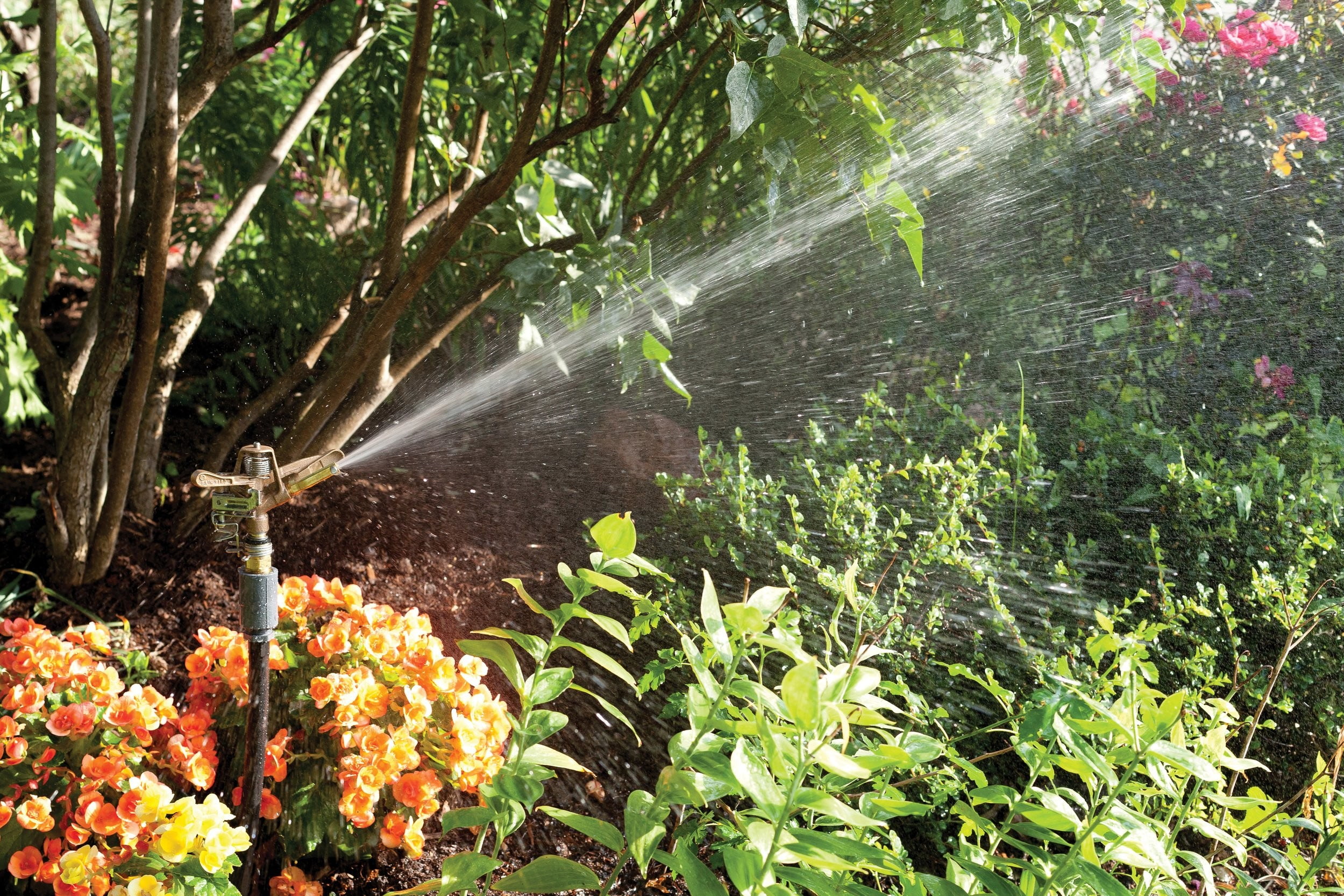 Rain Bird 35ADJTNTB Brass Impact Sprinkler Adjustable 0° - 360° 30' - 50' Spray