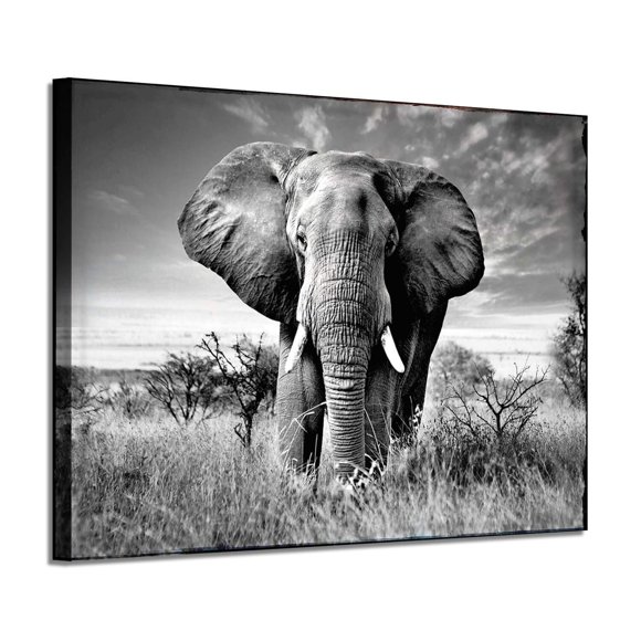 ARTISTIC PATH Elephant Picture Canvas Wall Art: African Wild Animals Artwork Painting Print for Living Room (36''W x 24''H,Multi-Sized)