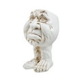 thumbnail image 2 of Awevudst Funny Face Head Planter Pots for Indoor Outdoor Plants Flower Pots, 2 of 7