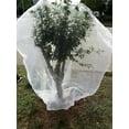 thumbnail image 2 of Agfabric Bird Netting Insect Barrier Bag Garden Plant Cover 120"H x 120"W In-shape Bag with Rope, 2 of 3