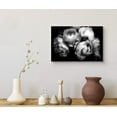 thumbnail image 3 of wall26 Canvas Print Wall Art Bouquet of Chinese Rose Flowers Floral Plants Photography Modern Art Rustic Closeup Dramatic Duotone Dark Black and White for Living Room, Bedroom, Office - 24"x36&q, 3 of 5