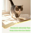 thumbnail image 5 of 3 Pack Catnip Toys for Indoor Cats - 13 Inches Catnip Pillows, Catnip Toys, Sisal Scratching Pad, Interactive Cat Nip Kicker Toys for Anxiety Relief, 5 of 5