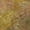 Copper, variant on Addison Rugs Chantille Indoor/Outdoor Transitional Abstract Copper Machine Washable Rectangle Rug, 10' x 14'