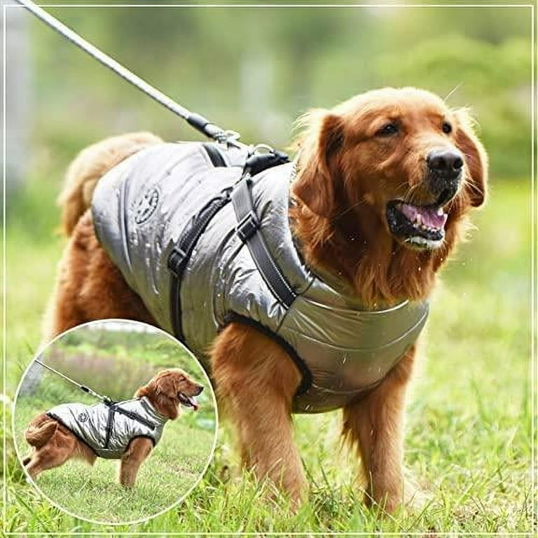 2xl dog cheap harness